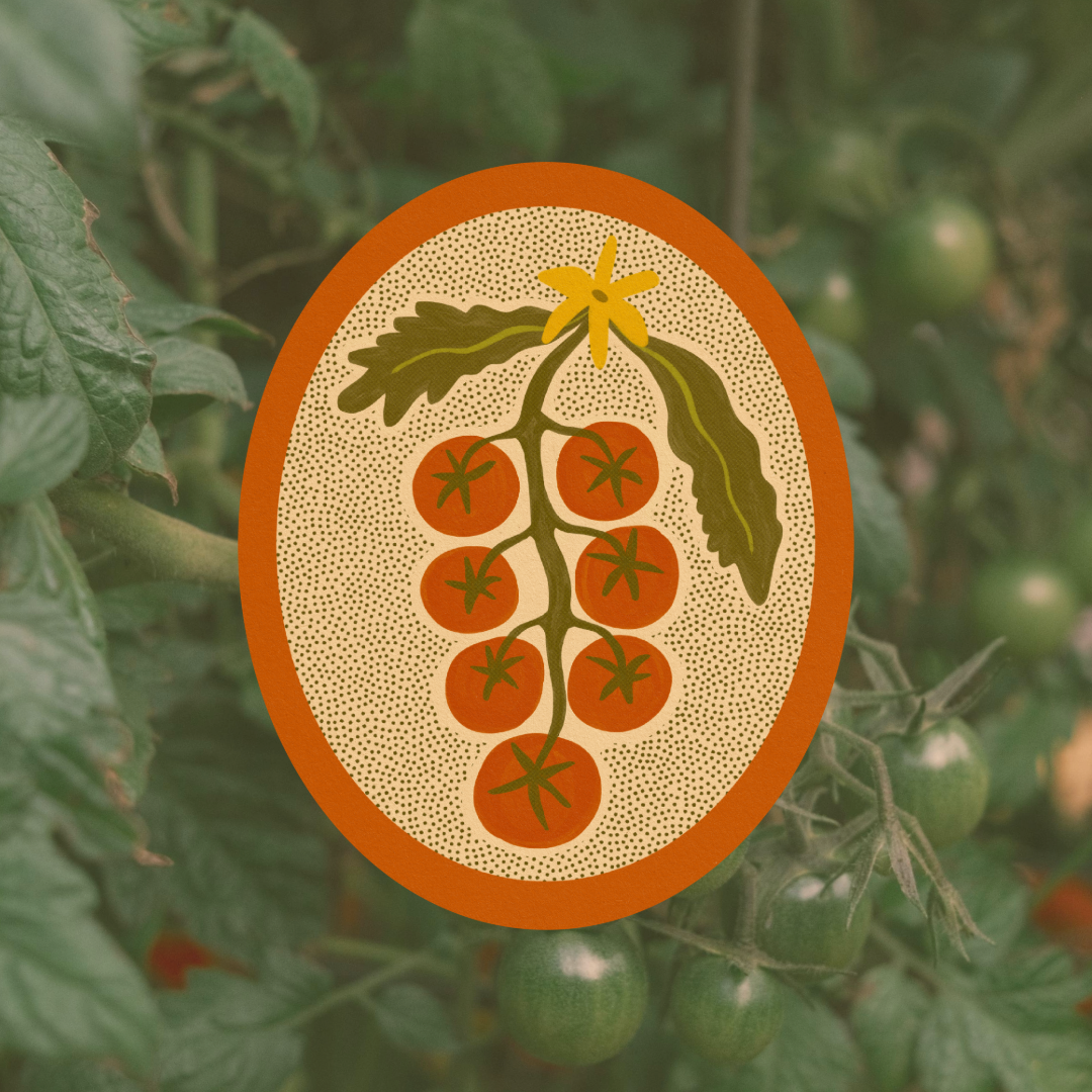 Tomato Vine - Vinyl Sticker