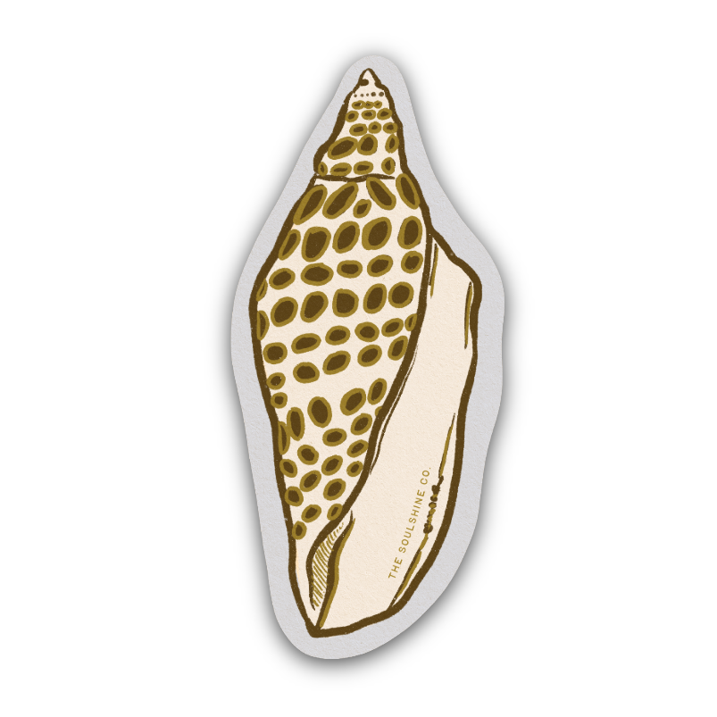 Junonia Shell - Vinyl Sticker