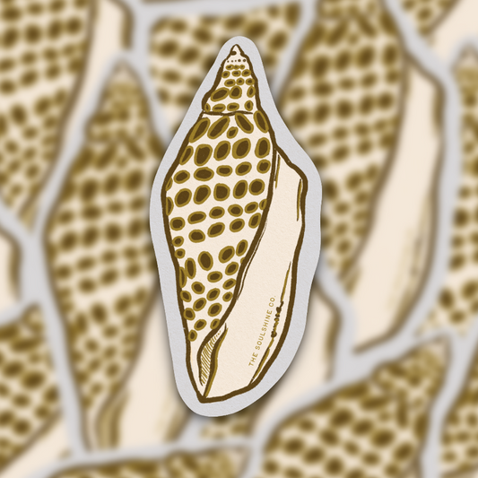 Junonia Shell - Vinyl Sticker